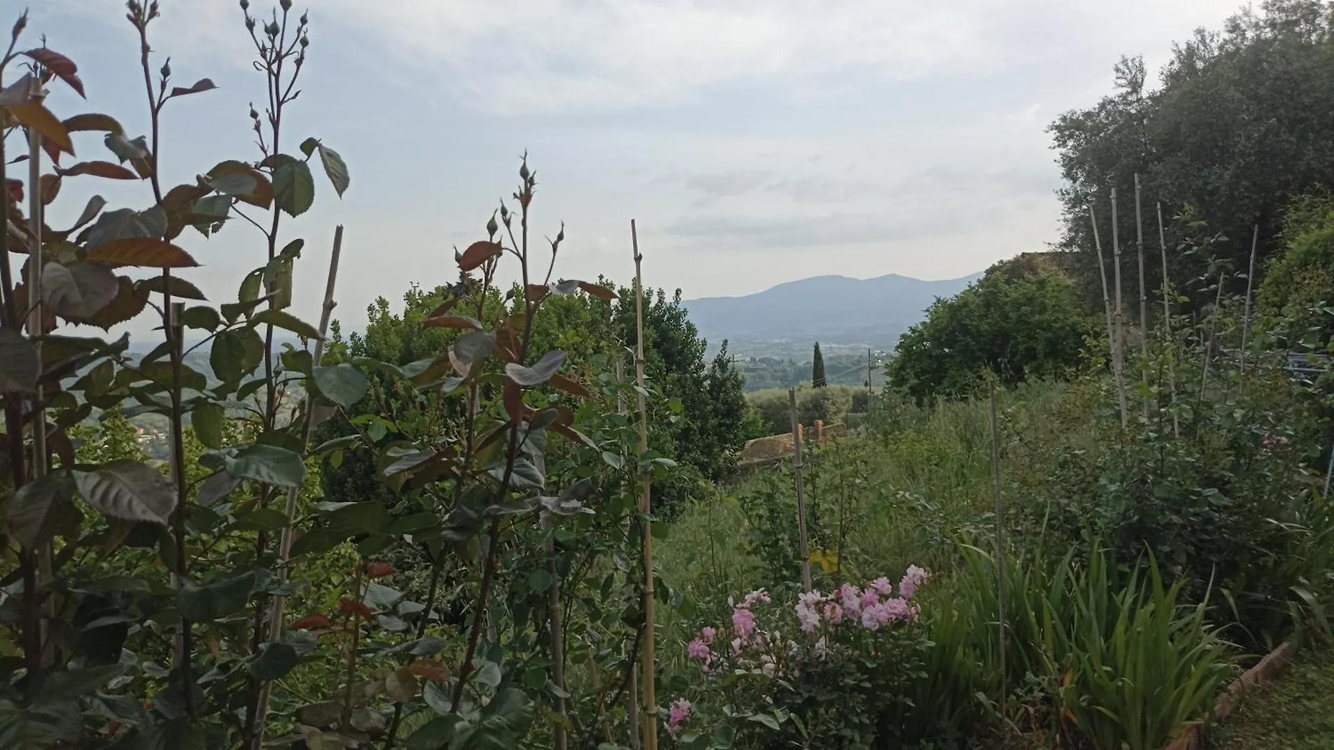 Colonic House Of San Gennaro, Capannori, Lucca Villa San Gennaro  Holiday home San Gennaro (Lucca)