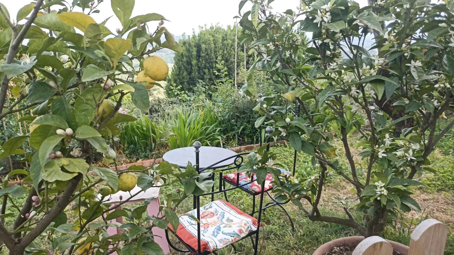Holiday home Colonic House Of San Gennaro, Capannori, Lucca Villa San Gennaro  Italy